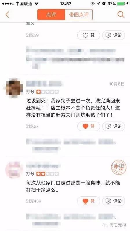 让这些无良的宠物店都见鬼去吧