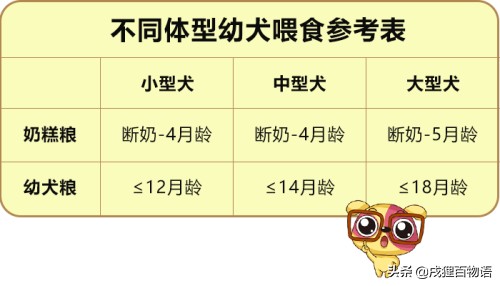 不同年龄阶段狗粮选择大不同